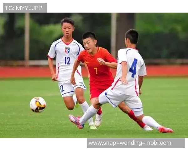 足球经费表解析与管理策略探讨助力球队财务健康发展