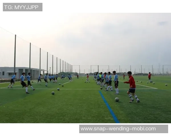 陕西足球运动管理中心助力地方足球发展与青训体系建设新篇章